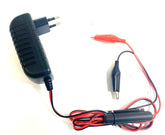 4S 2A LiFePO4 Krokodil Ladegerät für 12V Akkus ENERpower Wall